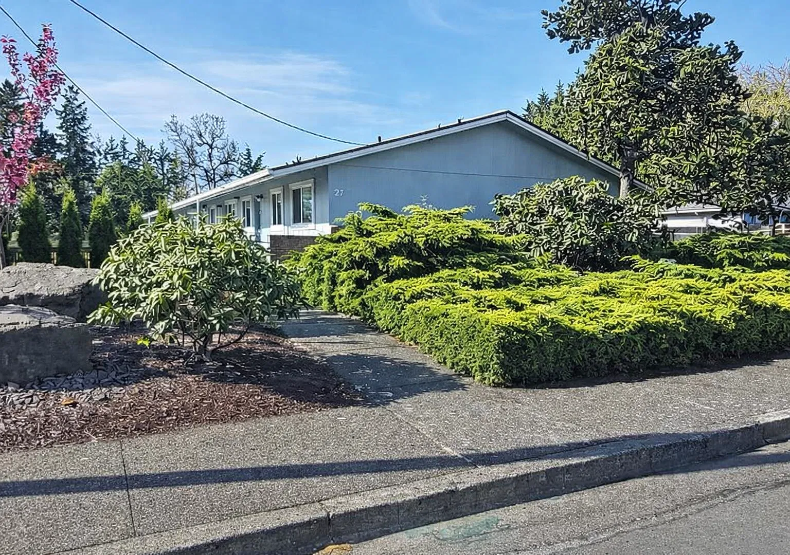 Hicks — Photo 1