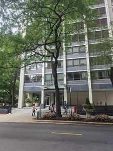222 E Pearson St APT 1801, Chicago, IL, 60611