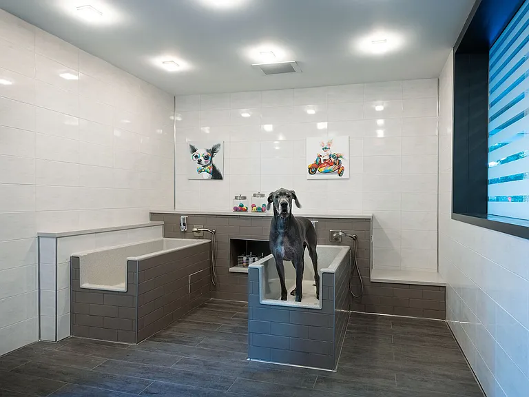 The Dagny Midtown Apartments — Photo 28