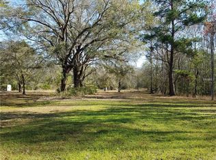 11325 Grovewood Blvd, Land O Lakes, FL 34638