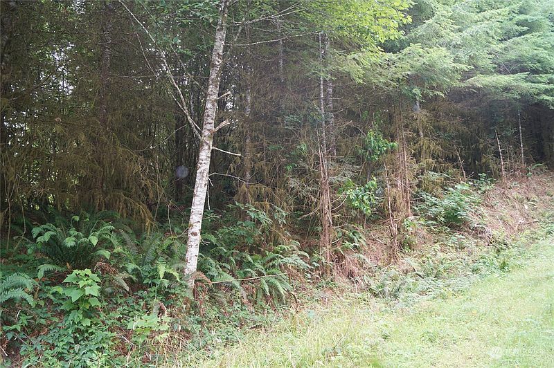 3rd image of 0 Off of Wynooche Wishkah Road