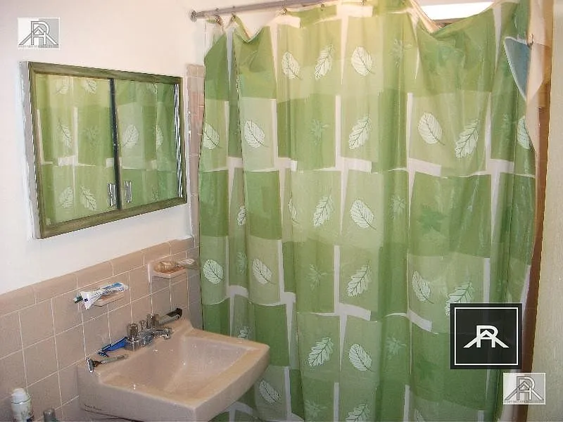 2 bed, 1.0 bath, $3,000 — Photo 3
