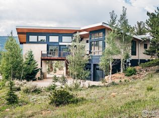 24 Ridge View Rd, Nederland, CO 80466