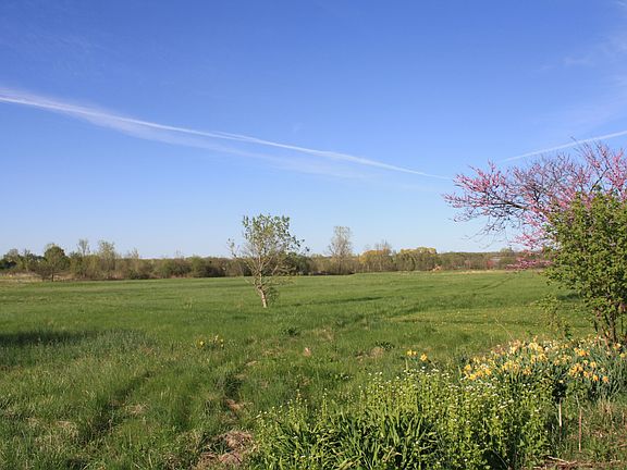 Land View