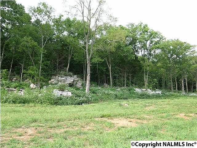 2nd image of 1231 Dug Hill Rd