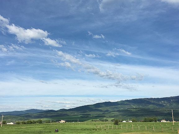 Back deck view