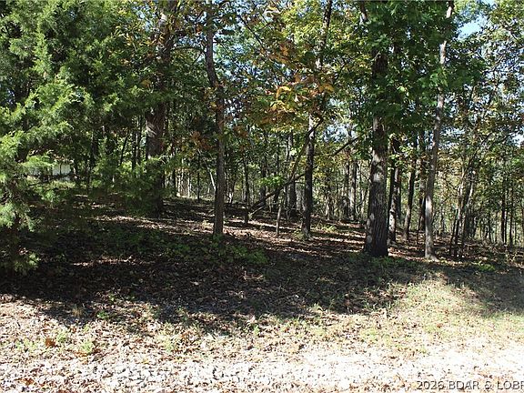 5th image of LOT 1241 Woodhaven Cir