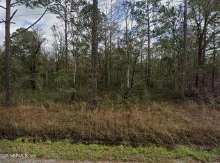 10230 NIKOLICH Avenue, Hastings, FL 32145