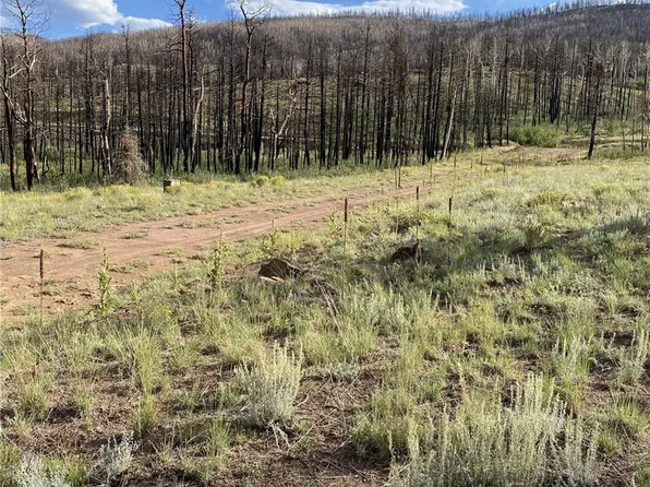 768 Shepard Place, Fort Garland, CO 81133