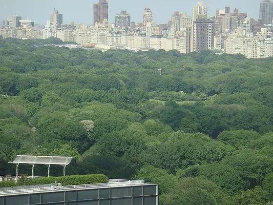 Rented by A & I Broadway | media 19