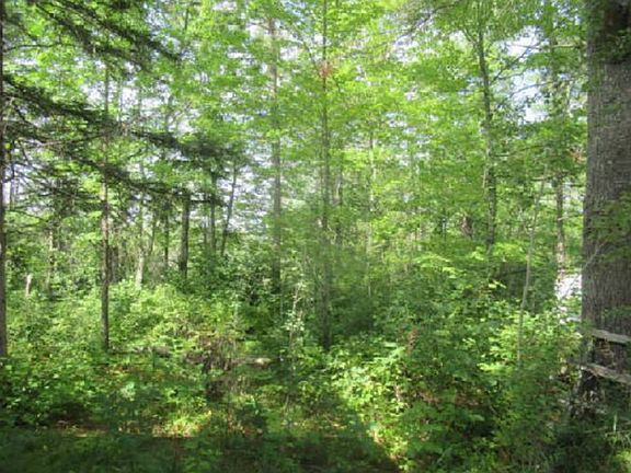 3rd image of 40227 County Road 106