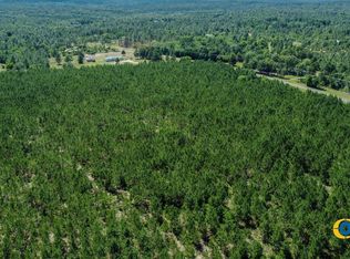 Moores Chapel Rd, Mauk, GA 31058