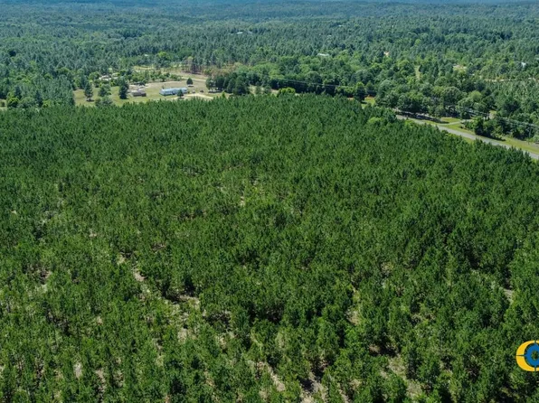 Moores Chapel Rd, Mauk, GA 31058