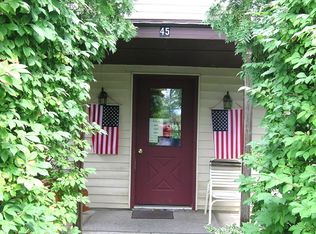 45 E River St, Waterloo, NY 13165