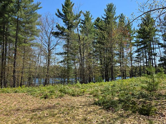 5th image of 8659 N Blue Gill Lake Rd