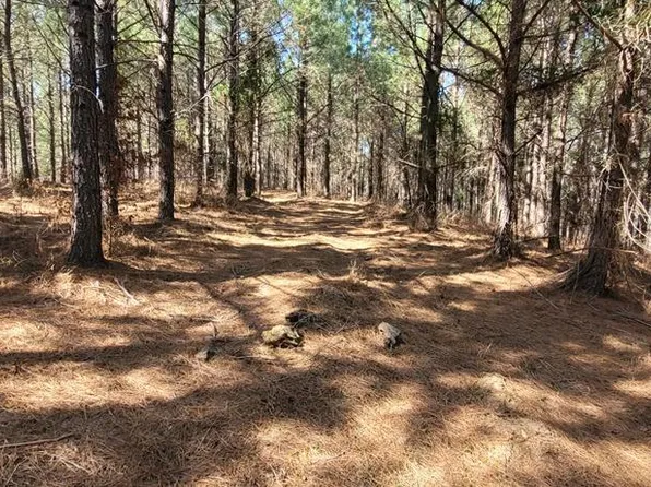 LOT 47 Saddleback Dr, Dover, TN 37058