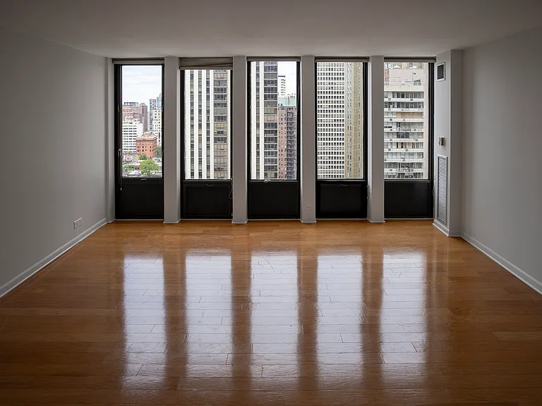 100 E Walton St #22A — Photo 7