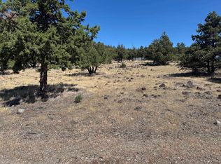 9-2 Shoreline Dr Lot 97, Weed, CA 96094