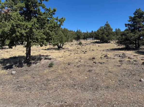 9-2 Shoreline Dr Lot 97, Weed, CA 96094