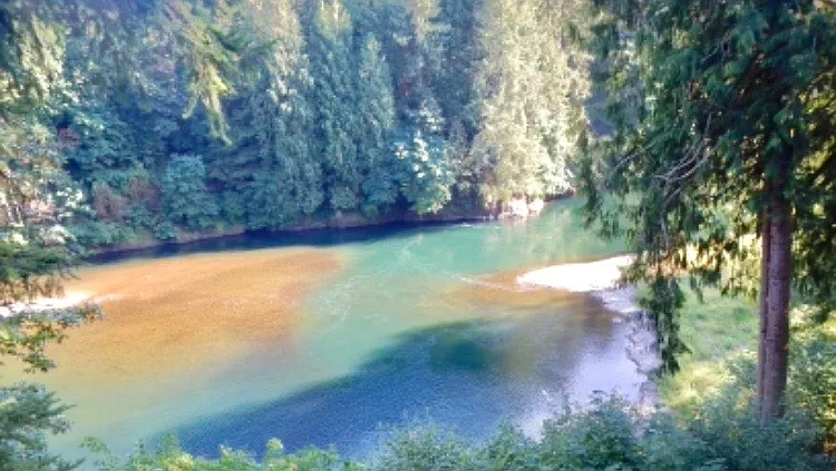 4353 Old Lewis River Rd photo 1