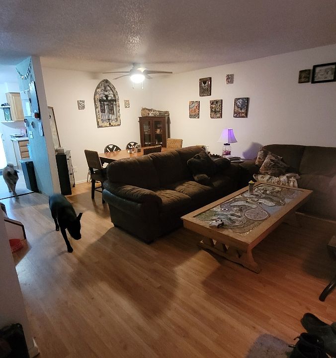 1st image of 1091 Lilac Cir