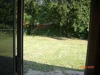 back yard