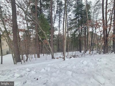 407 S Lakeview Dr, Cross Junction, VA, 22625