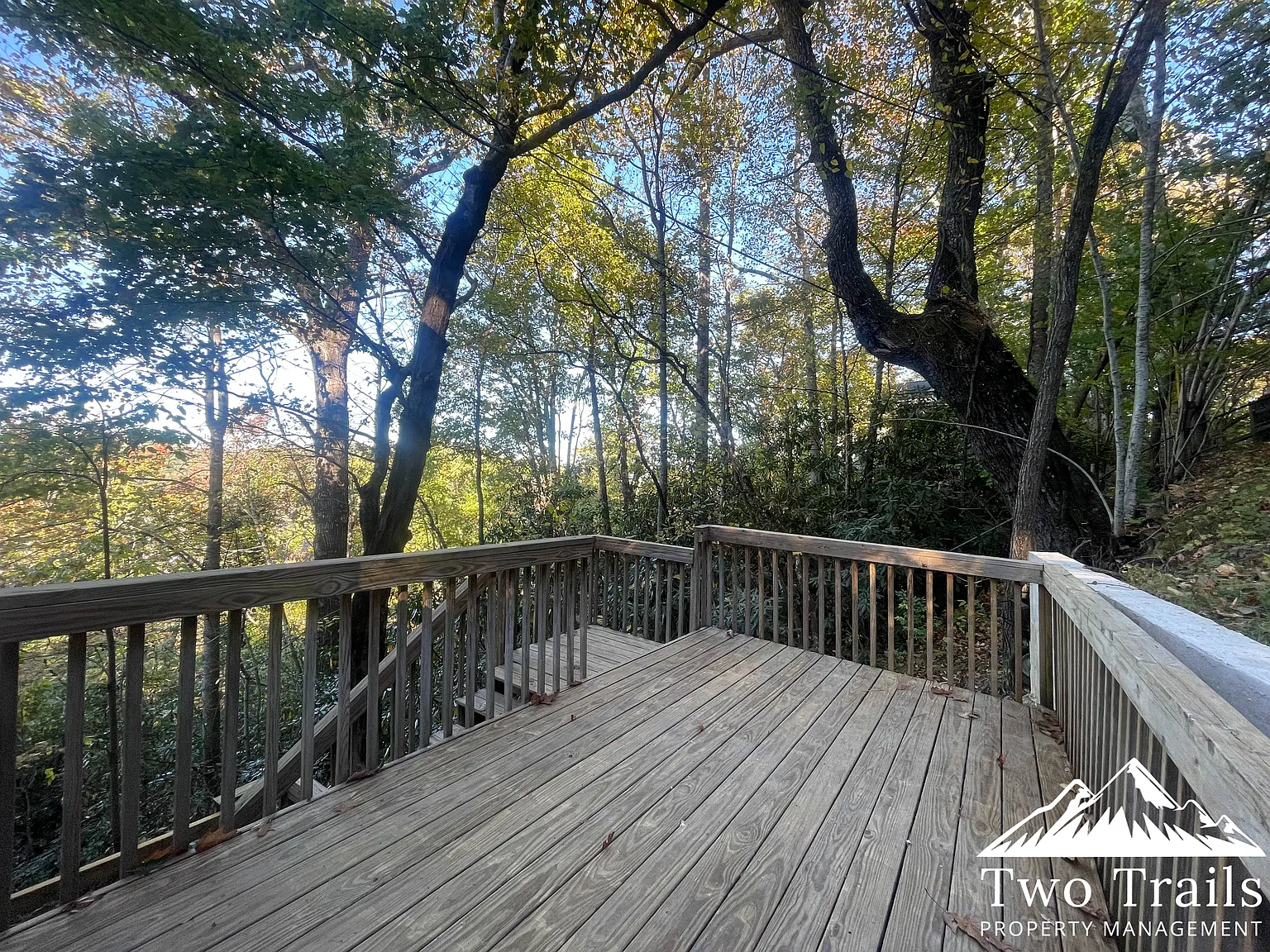 3 bed, 1200 sqft, $2,400 — Photo 2