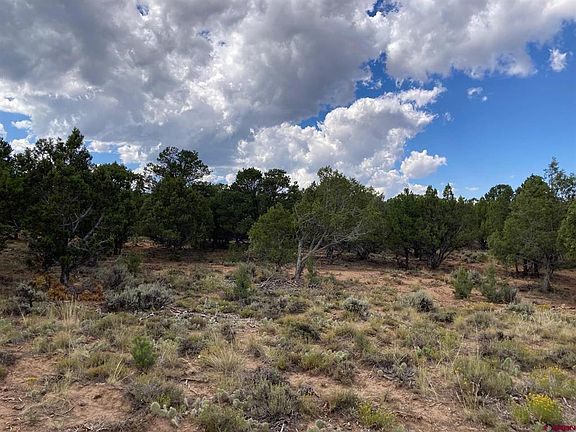 5th image of Lot 6 County Road 22