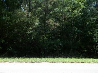 4650 Alligator Blvd, Middleburg, FL 32068