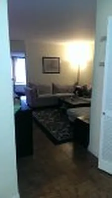 Rented by Manhattan Apartment Organization | media 43