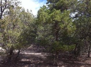 Tbd K Path, Cotopaxi, CO 81223