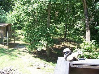 2nd image of 1921 Forest Cir