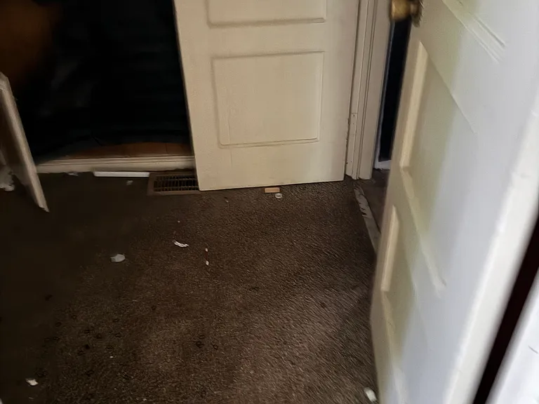 632 Ell St — Photo 3