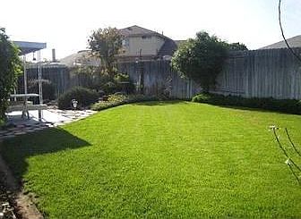 Large Rear Yard