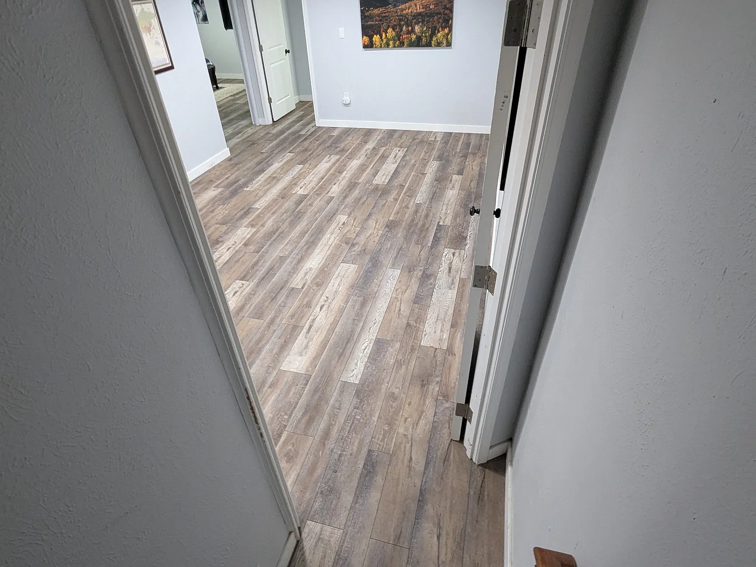 2 bed, 1290 sqft, $1,600 — Photo 1
