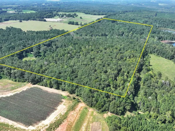 4496 State Highway 130, Banks, AL 36005