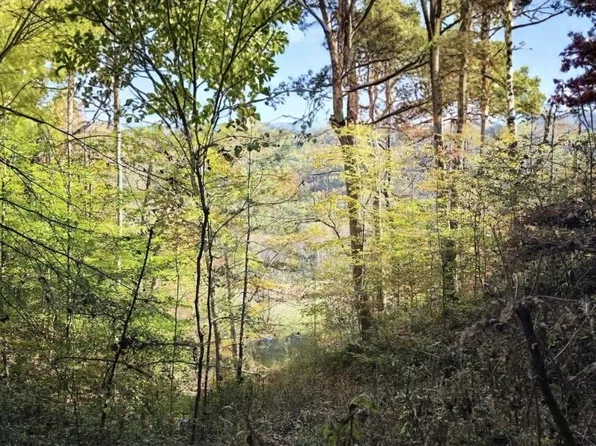 10818 State Highway 987, Harlan, KY 40831