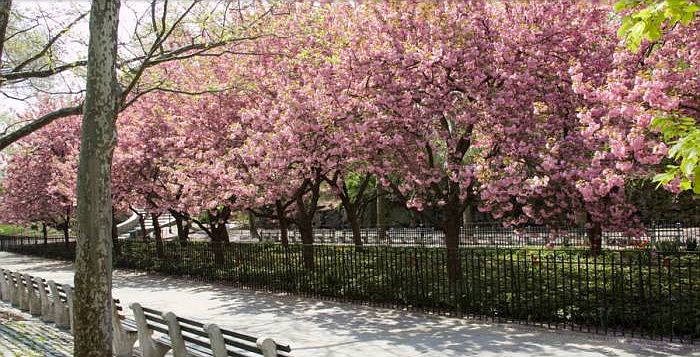 1 Block to Carl Schurz