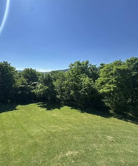 80 Walnut Ct — Photo 4