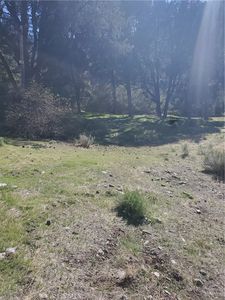 237 Pine Canyon Dr, Frazier Park, CA, 93225