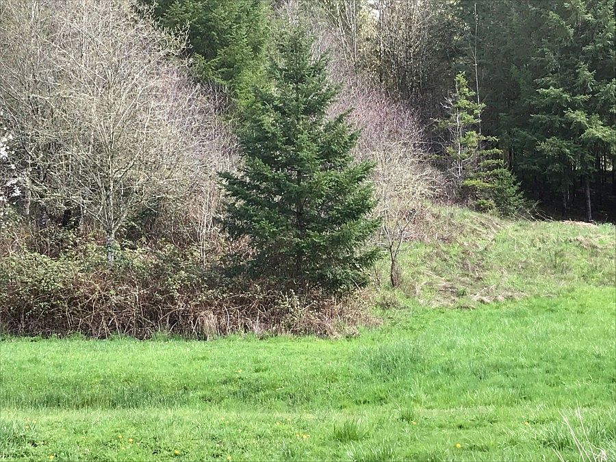 2nd image of 1436 Hazel Dell Rd