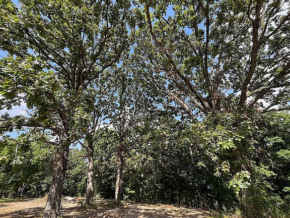 2nd image of LOT 2 Peck Rd
