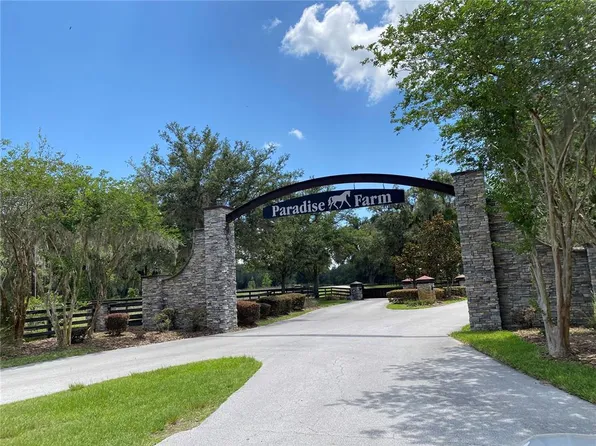 NW 154th Avenue Rd Lot 17, Morriston, FL 32668