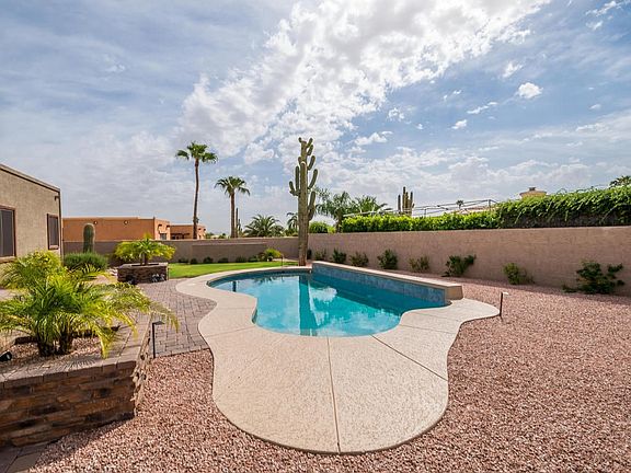 Pool and Back Yard