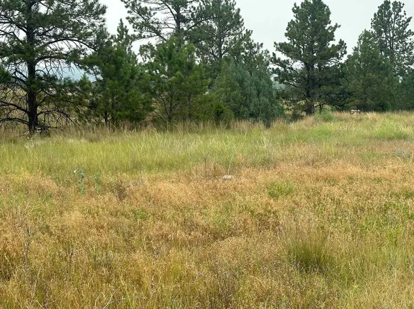Pasque Flower Trl, Hot Springs, SD 57747