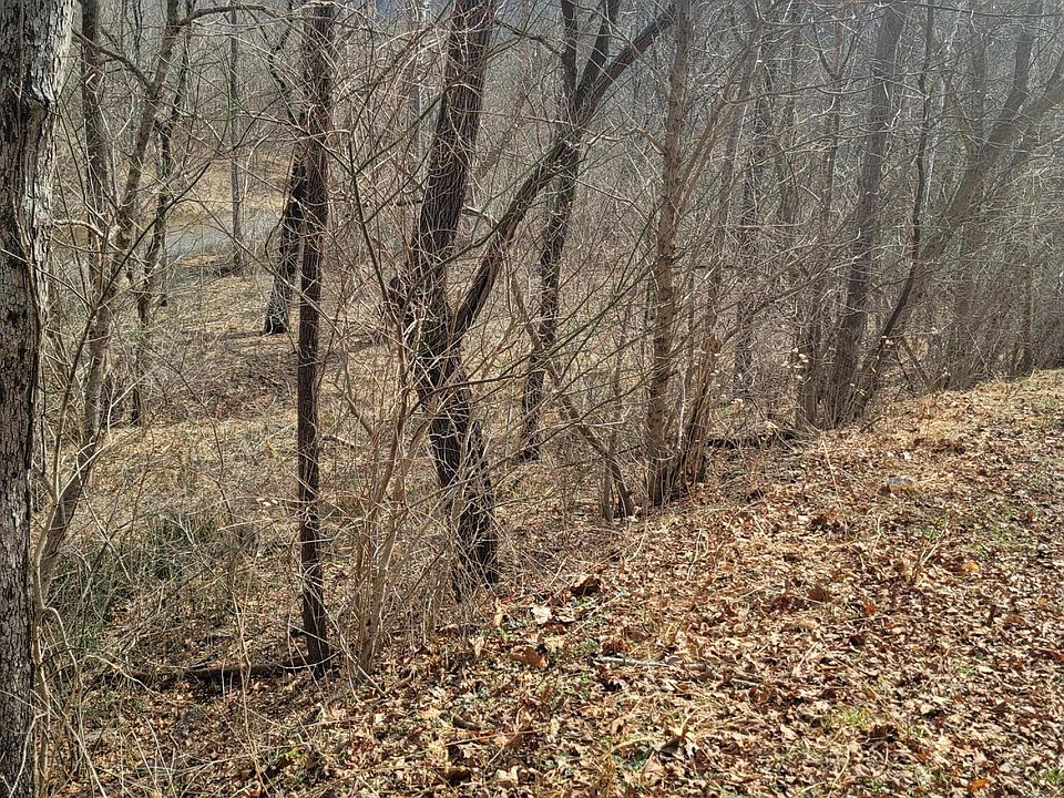 2nd image of 0 Starlight Ln