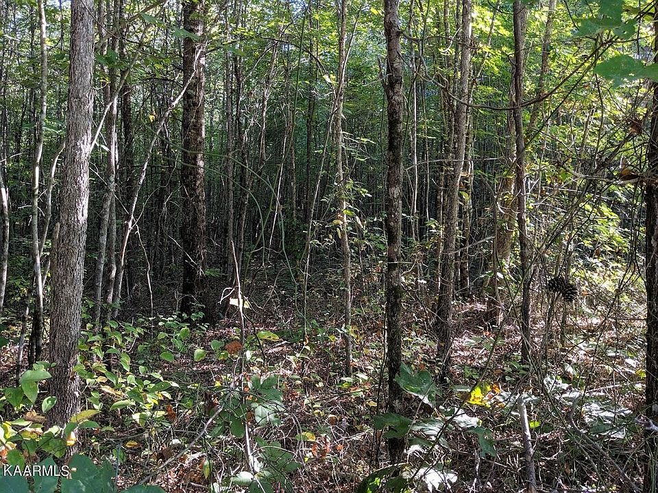 1st image of Hilltop Ln