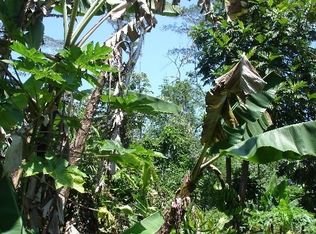 Ginger Rd, Pahoa, HI 96778