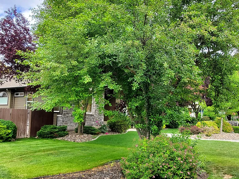 322 W Charlton Ave — Photo 3